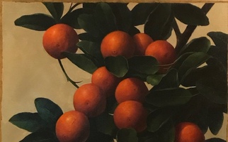 <strong>Oranges, leaves</strong> <span class="dims">24x20”</span> oil on linen